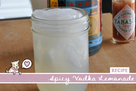 Spicy Vodka Lemonade Recipe