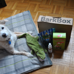 3-Month Barkbox Giveaway!