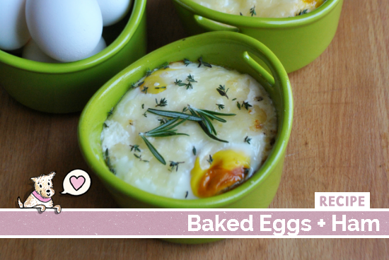 Baked Eggs and Ham Recipe