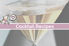 Cocktail Recipes