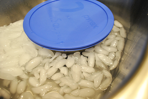 cooled chicken stock