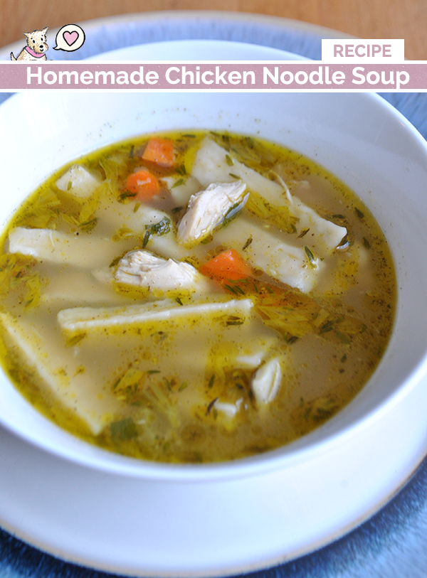 homemade chicken noodle soup recipe