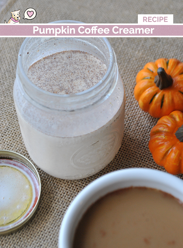 pumpkin coffee creamer ingredients