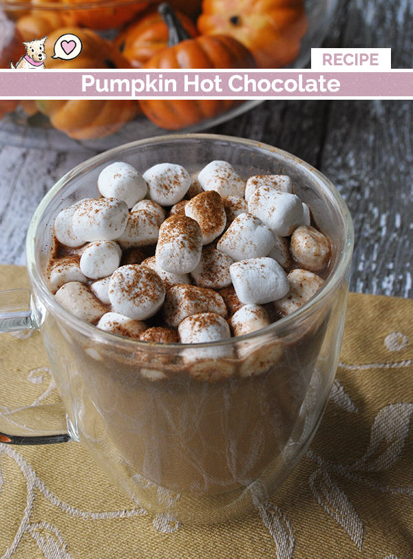 pumpkin hot chocolte recipe