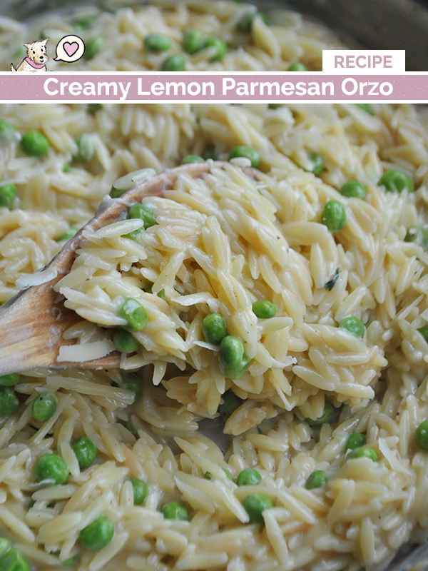 lemon parmesan orzo recipe