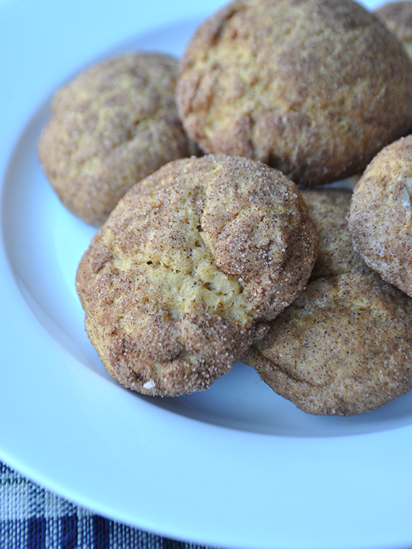 soft pumpkin sugar cookie recipe