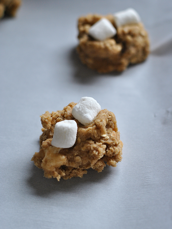 homemade smores cookies