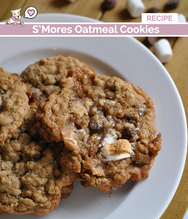 homemade smores oatmeal cookie recipe